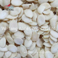 Food Ingredients Chinese Watermelon Seeds Kernels